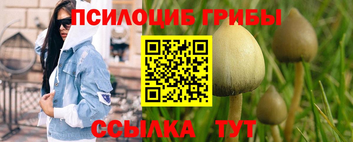 Галлюциногенные грибы GOLDEN TEACHER Алейск