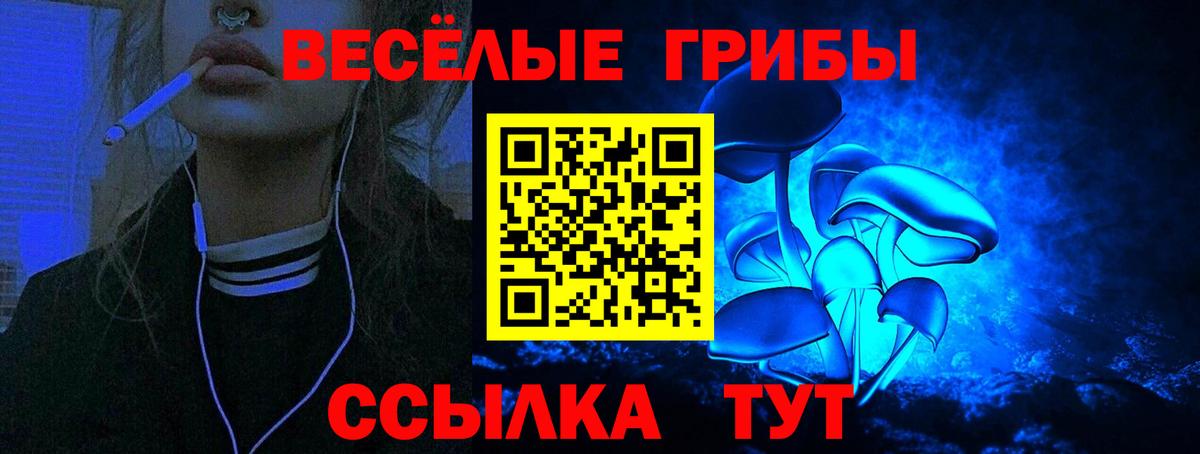 как найти закладки  Галлюциногенные грибы Psilocybe  Вход с VPN  Галлюциногенные грибы Psilocybine cubensis  Алейск 